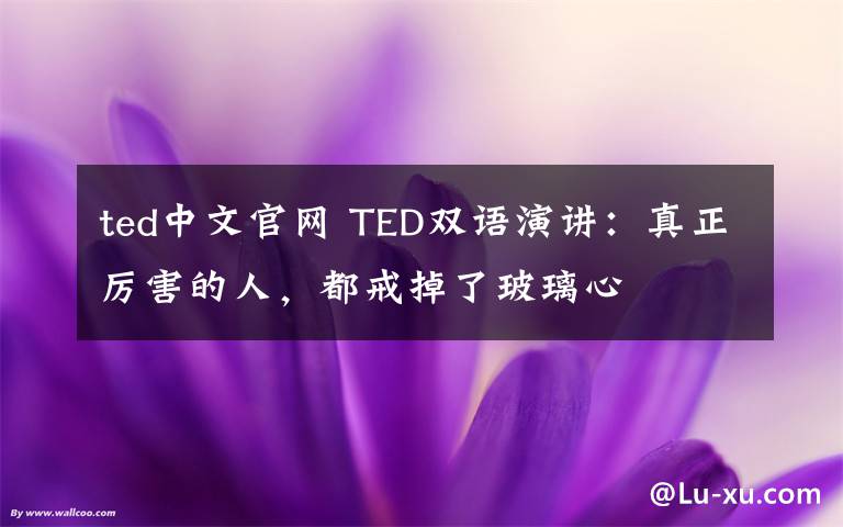 ted中文官网 TED双语演讲：真正厉害的人，都戒掉了玻璃心