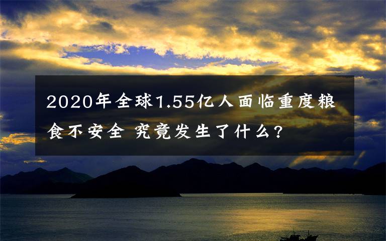 2020年全球1.55亿人面临重度粮食不安全 究竟发生了什么?