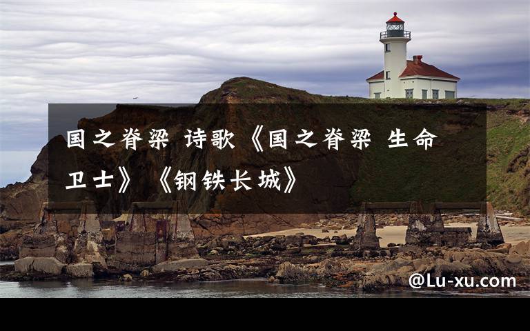 国之脊梁 诗歌《国之脊梁 生命卫士》《钢铁长城》