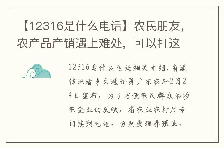 【12316是什么电话】农民朋友，农产品产销遇上难处，可以打这几个电话