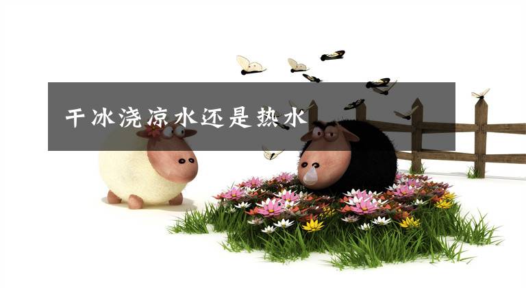 干冰浇凉水还是热水文章配图