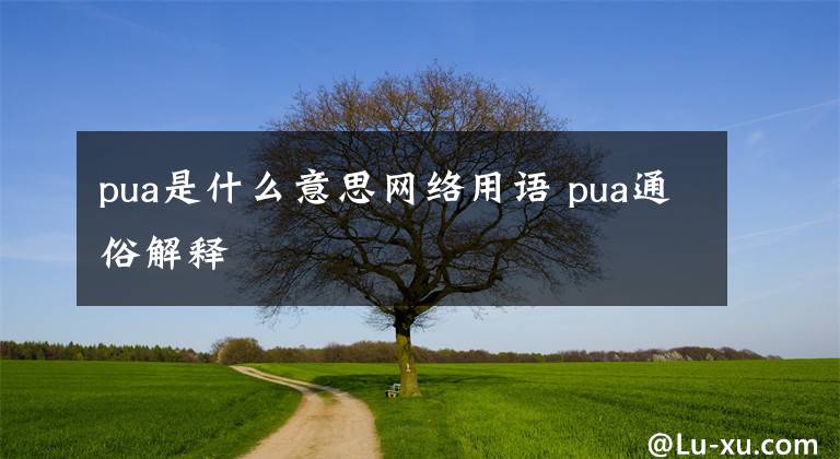 pua是什么意思网络用语 pua通俗解释