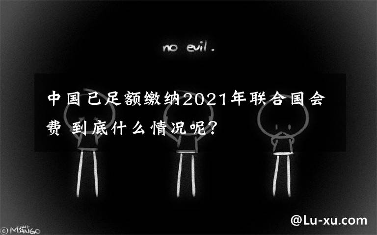 中国已足额缴纳2021年联合国会费 到底什么情况呢？