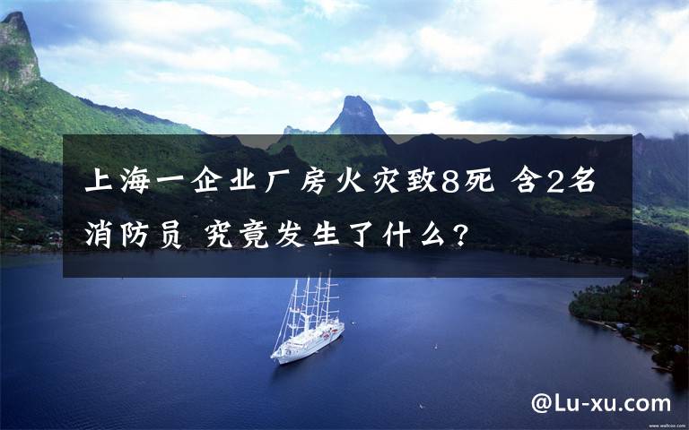 上海一企业厂房火灾致8死 含2名消防员 究竟发生了什么?