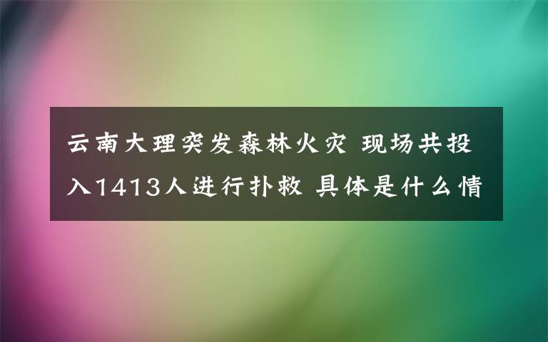 云南大理突发森林火灾 现场共投入1413人进行扑救 具体是什么情况？