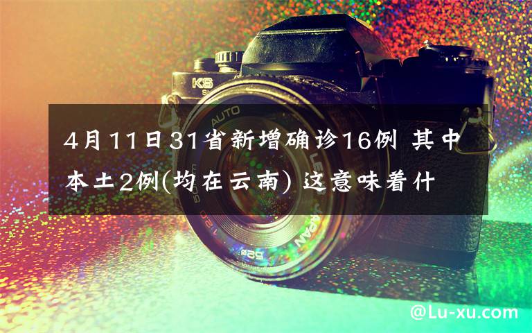 4月11日31省新增确诊16例 其中本土2例(均在云南) 这意味着什么?