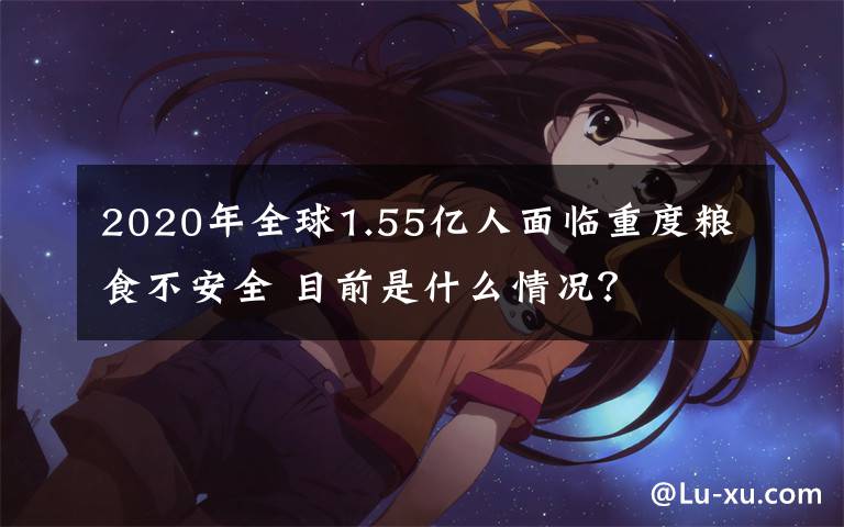 2020年全球1.55亿人面临重度粮食不安全 目前是什么情况？