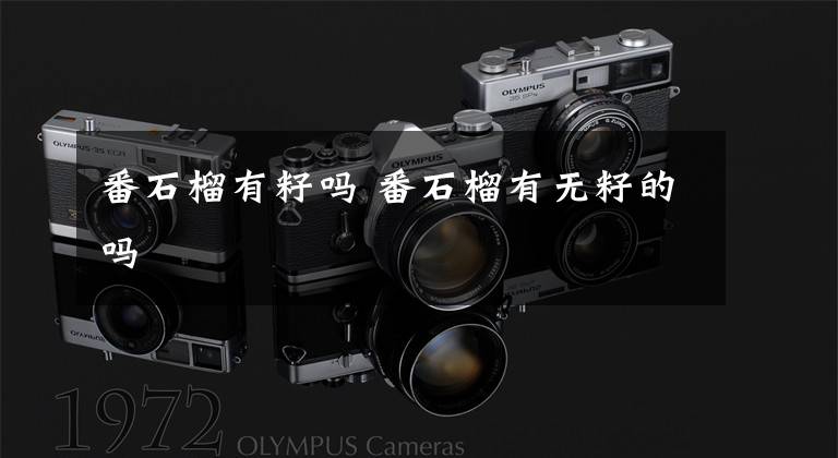 番石榴有籽吗 番石榴有无籽的吗文章配图
