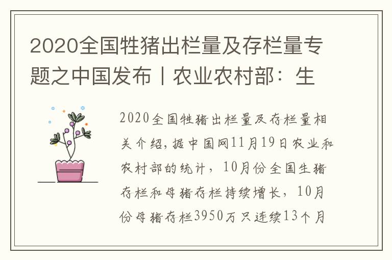 2020全国牲猪出栏量及存栏量专题之中国发布丨农业农村部：生猪存栏3.87亿头 明年二季度将恢复到正常年份水平