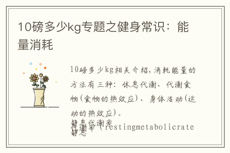 10磅多少kg专题之健身常识：能量消耗