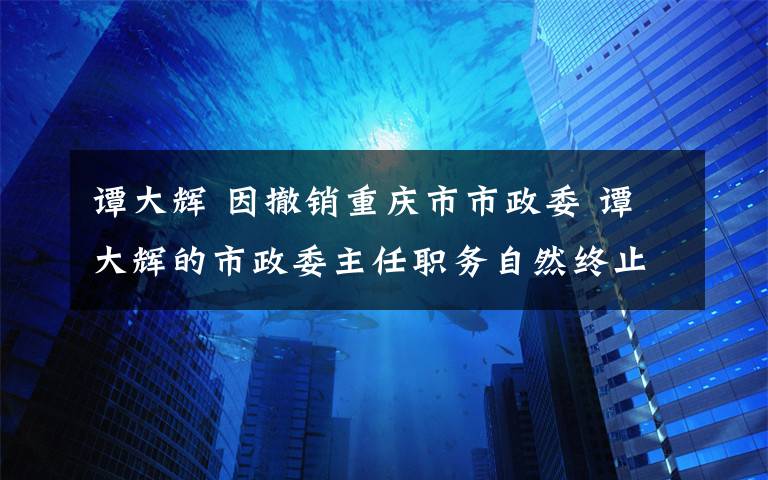 谭大辉 因撤销重庆市市政委 谭大辉的市政委主任职务自然终止