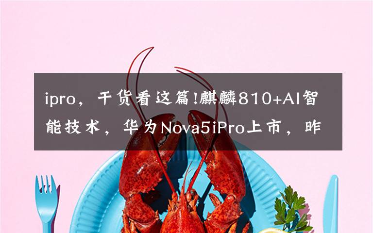 ipro，干货看这篇!麒麟810+AI智能技术，华为Nova5iPro上市，昨日已开售