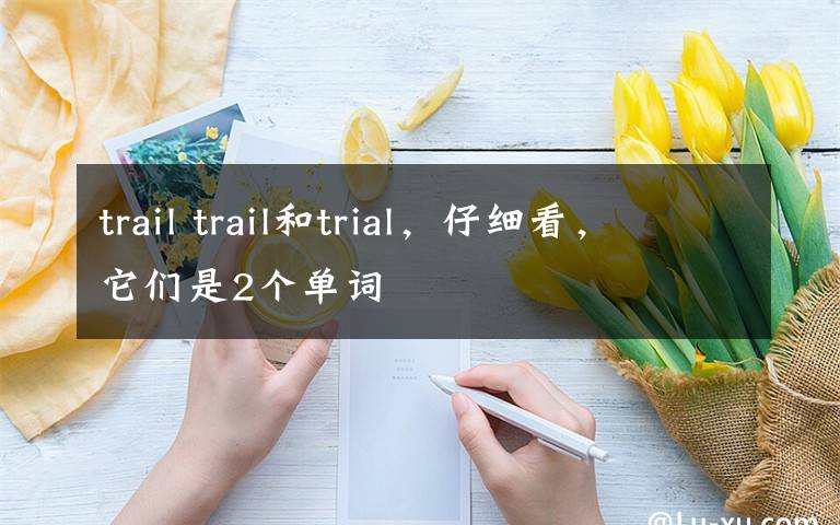 trail trail和trial，仔细看，它们是2个单词