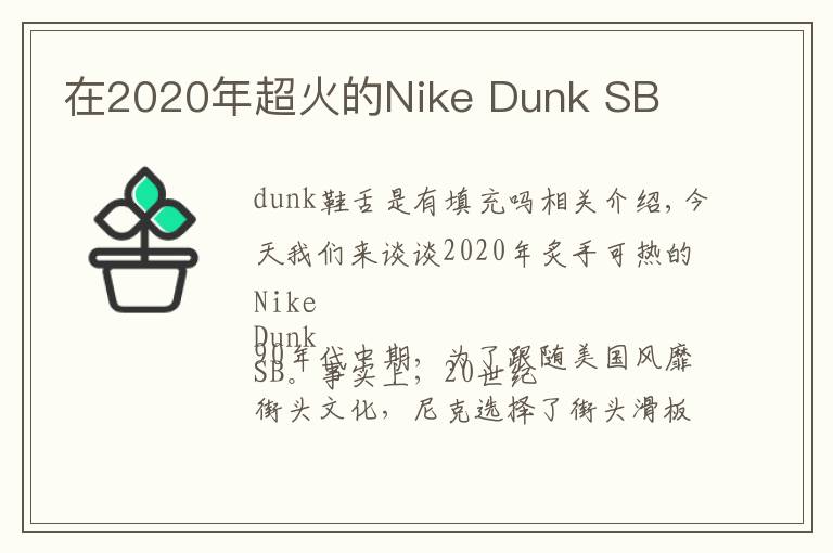 在2020年超火的Nike Dunk SB