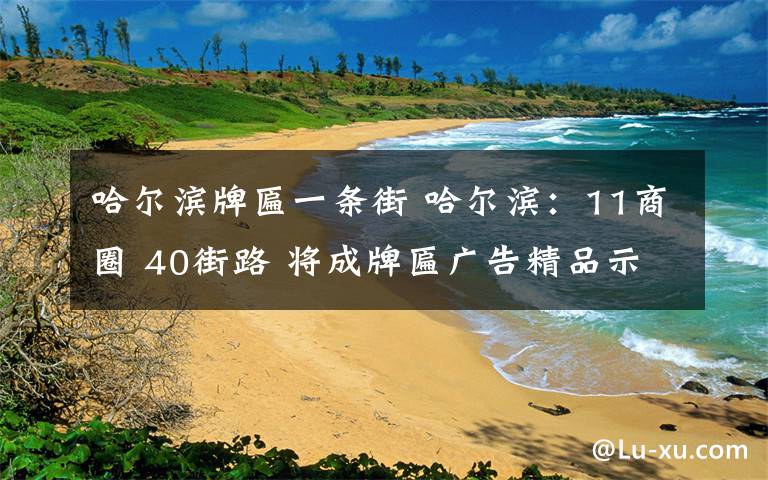 哈尔滨牌匾一条街 哈尔滨：11商圈 40街路 将成牌匾广告精品示范区