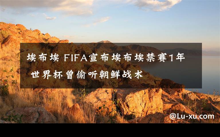 埃布埃 FIFA宣布埃布埃禁赛1年 世界杯曾偷听朝鲜战术