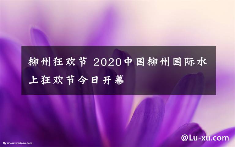 柳州狂欢节 2020中国柳州国际水上狂欢节今日开幕