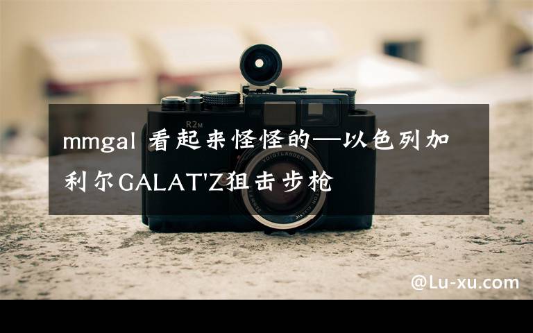 mmgal 看起来怪怪的—以色列加利尔GALAT'Z狙击步枪
