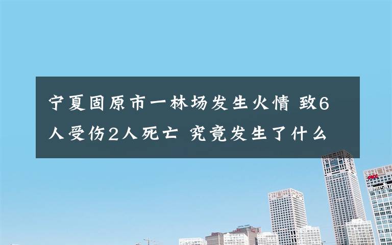 宁夏固原市一林场发生火情 致6人受伤2人死亡 究竟发生了什么?