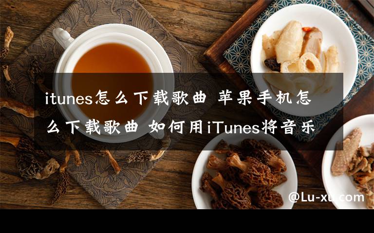 itunes怎么下载歌曲 苹果手机怎么下载歌曲 如何用iTunes将音乐导入iPhone