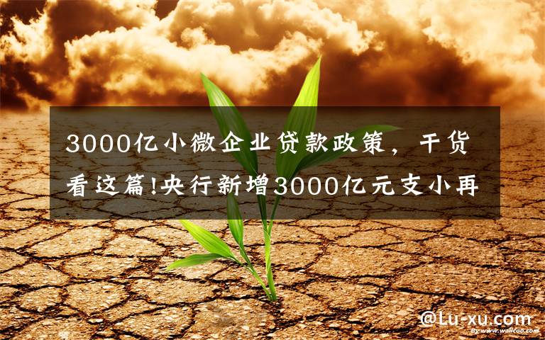 3000亿小微企业贷款政策，干货看这篇!央行新增3000亿元支小再贷款额度 加大对中小微企业纾困帮扶力度