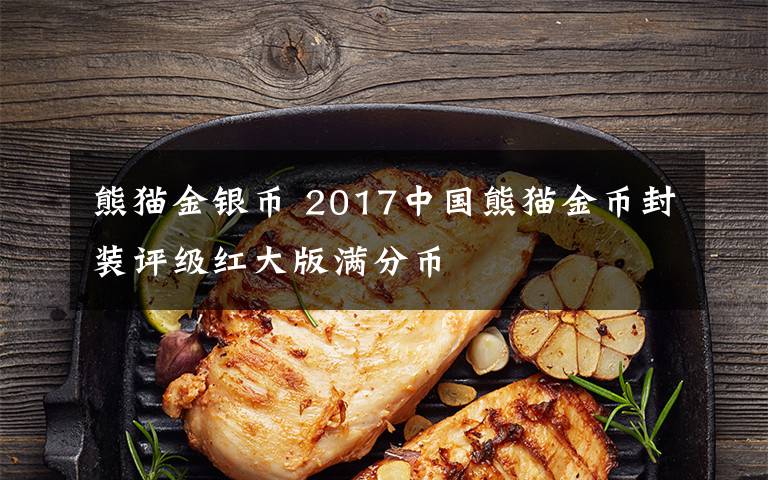 熊猫金银币 2017中国熊猫金币封装评级红大版满分币