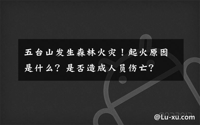 五台山发生森林火灾！起火原因是什么？是否造成人员伤亡？