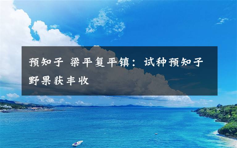 预知子 梁平复平镇：试种预知子野果获丰收