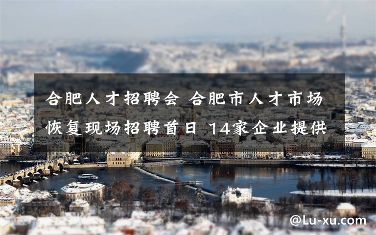 合肥人才招聘会 合肥市人才市场恢复现场招聘首日 14家企业提供500多个岗位