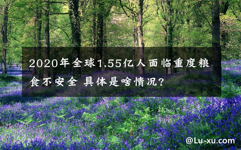 2020年全球1.55亿人面临重度粮食不安全 具体是啥情况?