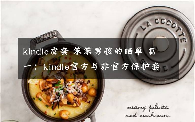 kindle皮套 笨笨男孩的晒单 篇一：kindle官方与非官方保护套的非权威比较