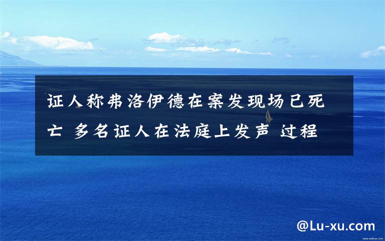 证人称弗洛伊德在案发现场已死亡 多名证人在法庭上发声 过程真相详细揭秘！