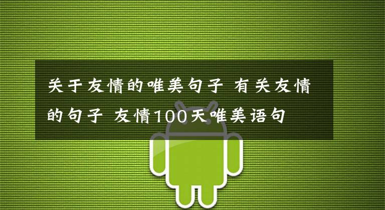 关于友情的唯美句子 有关友情的句子 友情100天唯美语句