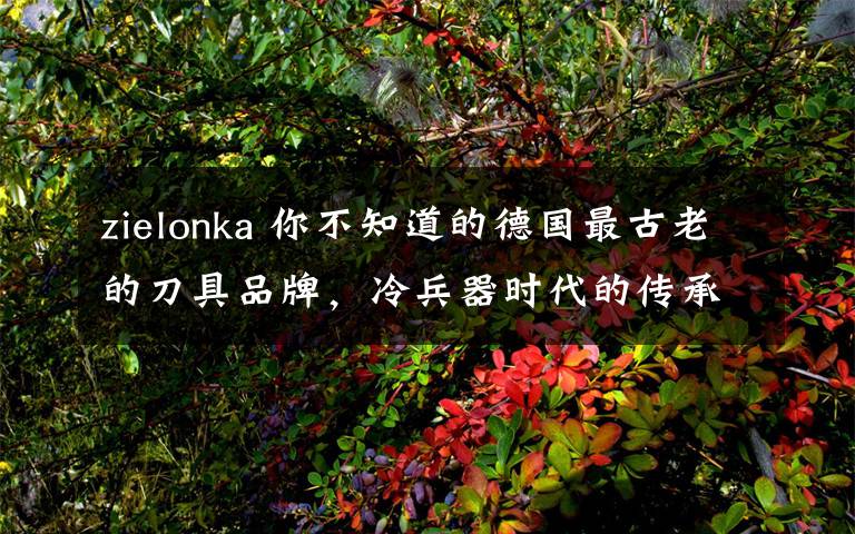 zielonka 你不知道的德国最古老的刀具品牌，冷兵器时代的传承，小众+高逼格=身份的象征