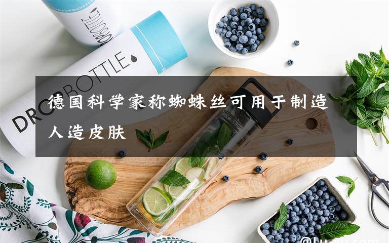 德国科学家称蜘蛛丝可用于制造人造皮肤