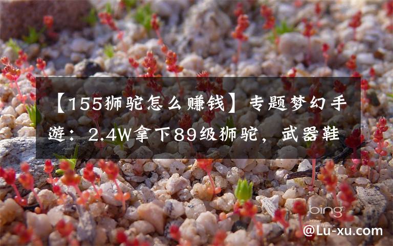 【155狮驼怎么赚钱】专题梦幻手游：2.4W拿下89级狮驼，武器鞋子属性优秀，"回血"不少