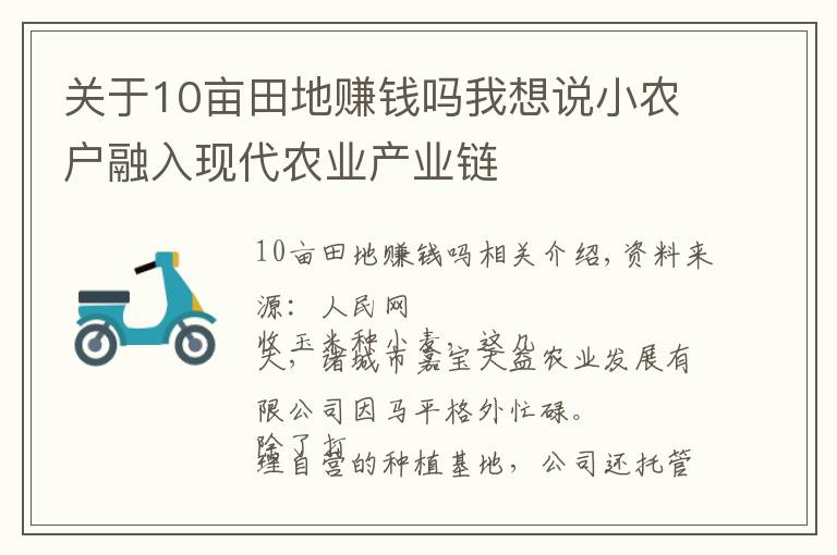 关于10亩田地赚钱吗我想说小农户融入现代农业产业链