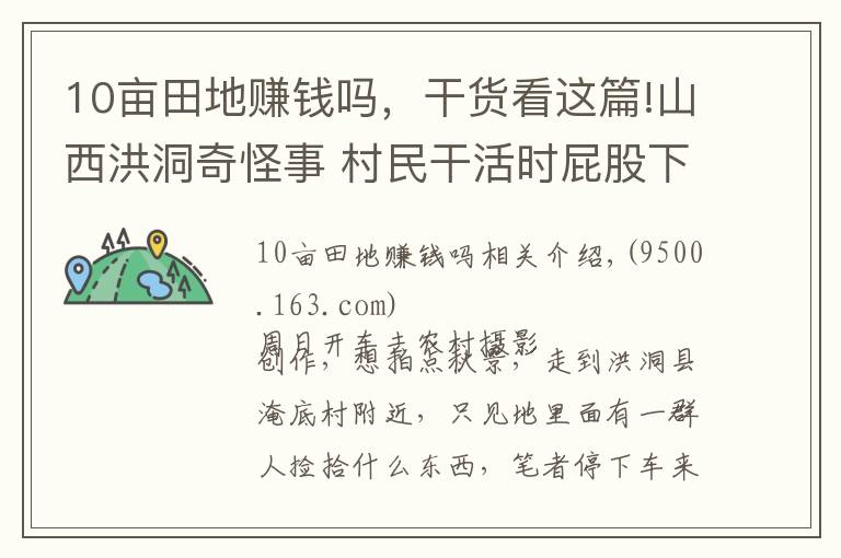 10亩田地赚钱吗，干货看这篇!山西洪洞奇怪事 村民干活时屁股下绑个桶 种两亩半地收入了五万元