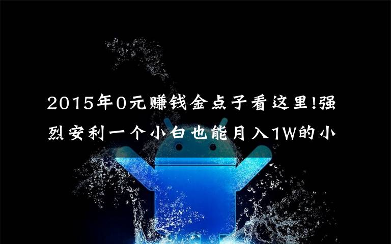 2015年0元赚钱金点子看这里!强烈安利一个小白也能月入1W的小众副业