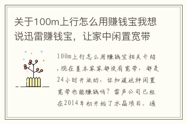 关于100m上行怎么用赚钱宝我想说迅雷赚钱宝，让家中闲置宽带不再白白浪费