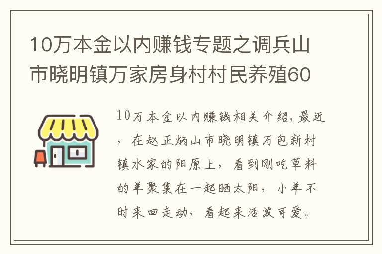 10万本金以内赚钱专题之调兵山市晓明镇万家房身村村民养殖60多只羊一年挣10万