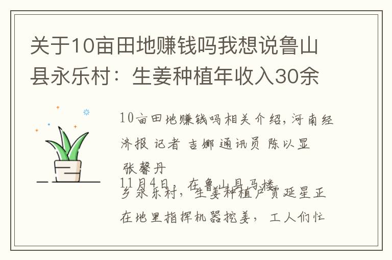 关于10亩田地赚钱吗我想说鲁山县永乐村：生姜种植年收入30余万元
