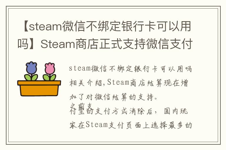 【steam微信不绑定银行卡可以用吗】Steam商店正式支持微信支付 这下剁手更方便了