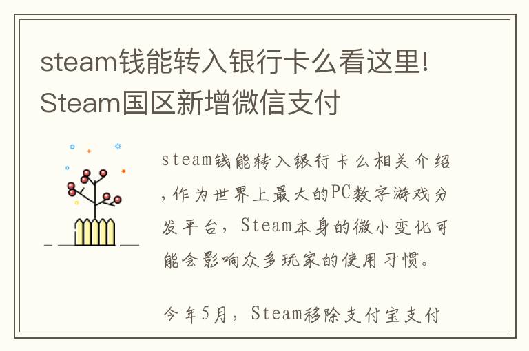 steam钱能转入银行卡么看这里!Steam国区新增微信支付