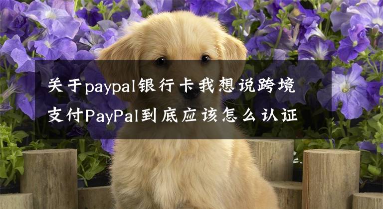 关于paypal银行卡我想说跨境支付PayPal到底应该怎么认证？