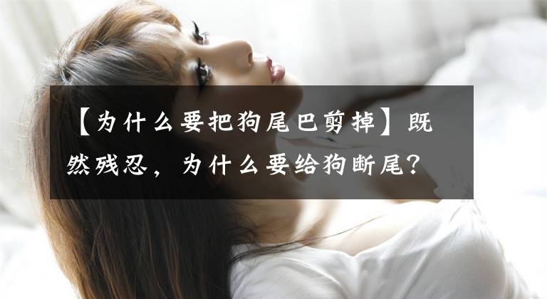 【为什么要把狗尾巴剪掉】既然残忍，为什么要给狗断尾？文章配图