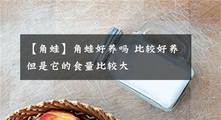 【角蛙】角蛙好养吗 比较好养但是它的食量比较大