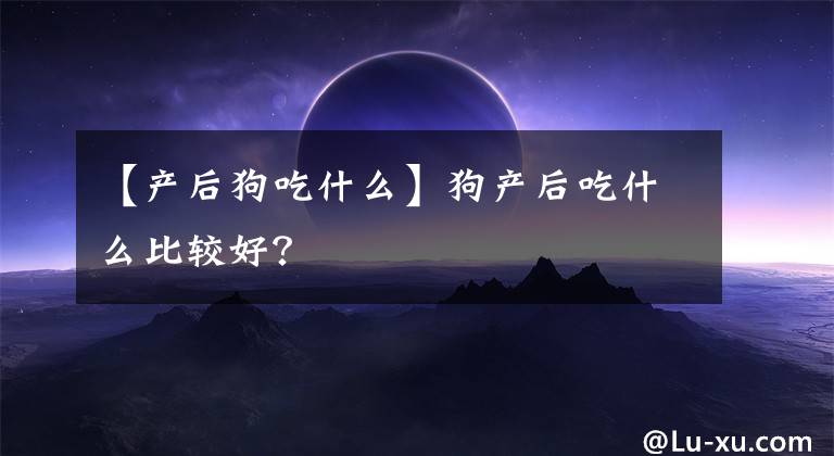 【产后狗吃什么】狗产后吃什么比较好？