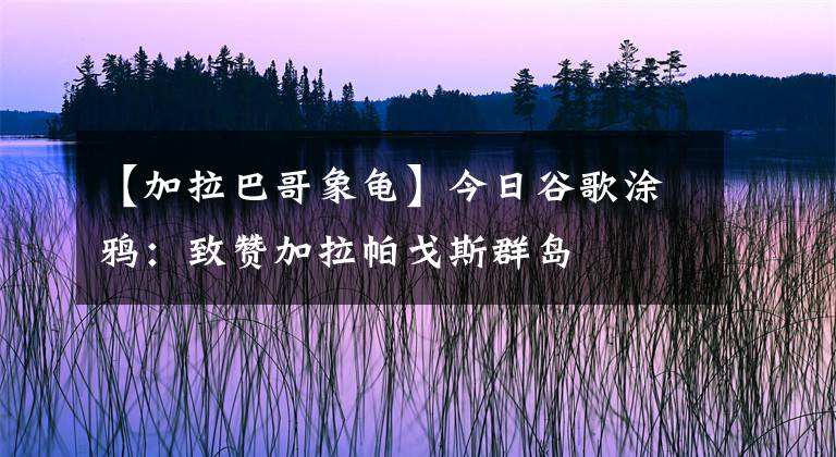 【加拉巴哥象龟】今日谷歌涂鸦：致赞加拉帕戈斯群岛