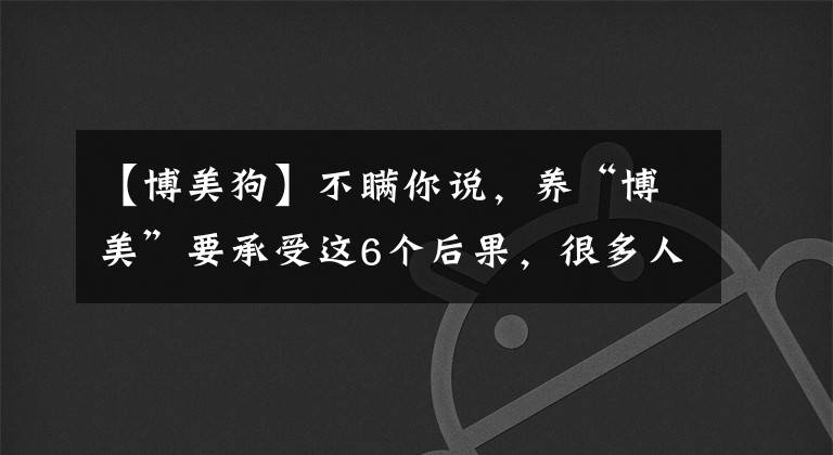 【博美狗】不瞒你说，养“博美”要承受这6个后果，很多人受不了